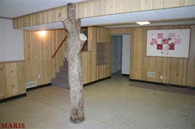 Bad MLS picture - tree trunk in basement