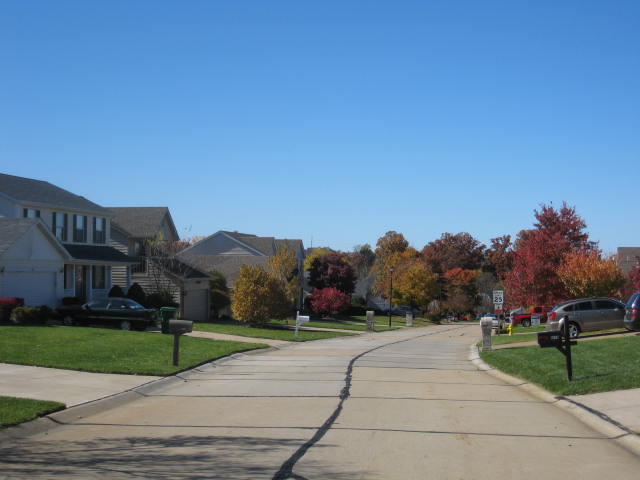 4109 Stafford Woods Ct lot - street view