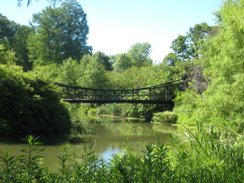 Forest Park - bridge