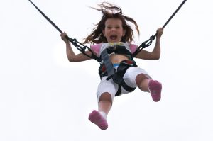6 Resource Guides ~ Top St. Louis Spring and Summer Outings
