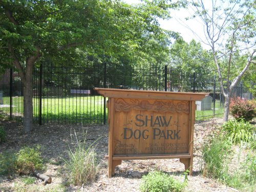 Let Your Dog Run in a St. Louis Dog Park