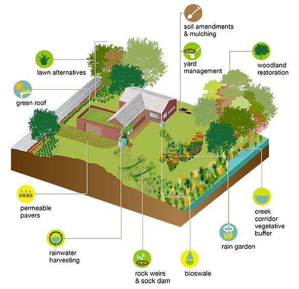 Rainscaping design