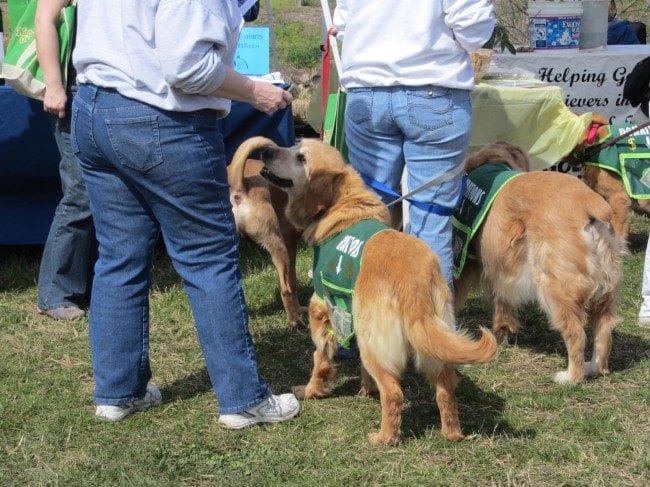 Dog Friendly Event - Earth Day St. Louis | Arch City Homes