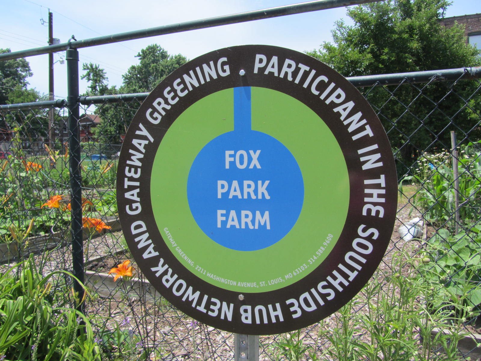 St. Louis in Pictures: Fox Park