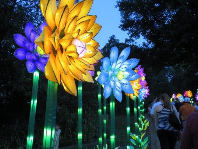 MO Botanical Gardens Lantern Festival | Arch City Homes