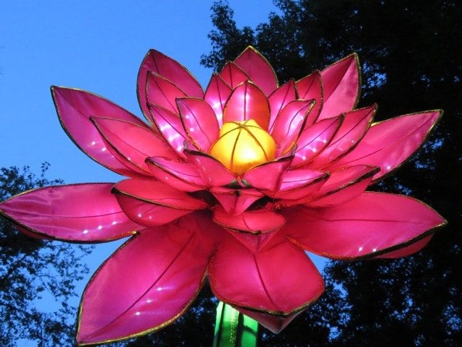 MO Botanical Gardens Lantern Festival | Arch City Homes