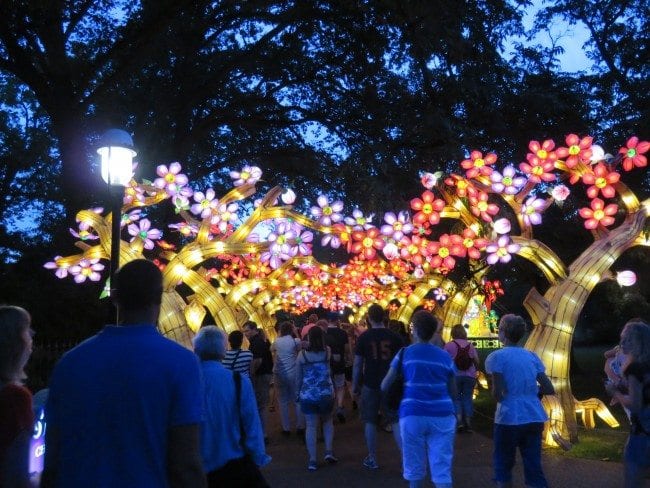 MO Botanical Gardens Lantern Festival | Arch City Homes