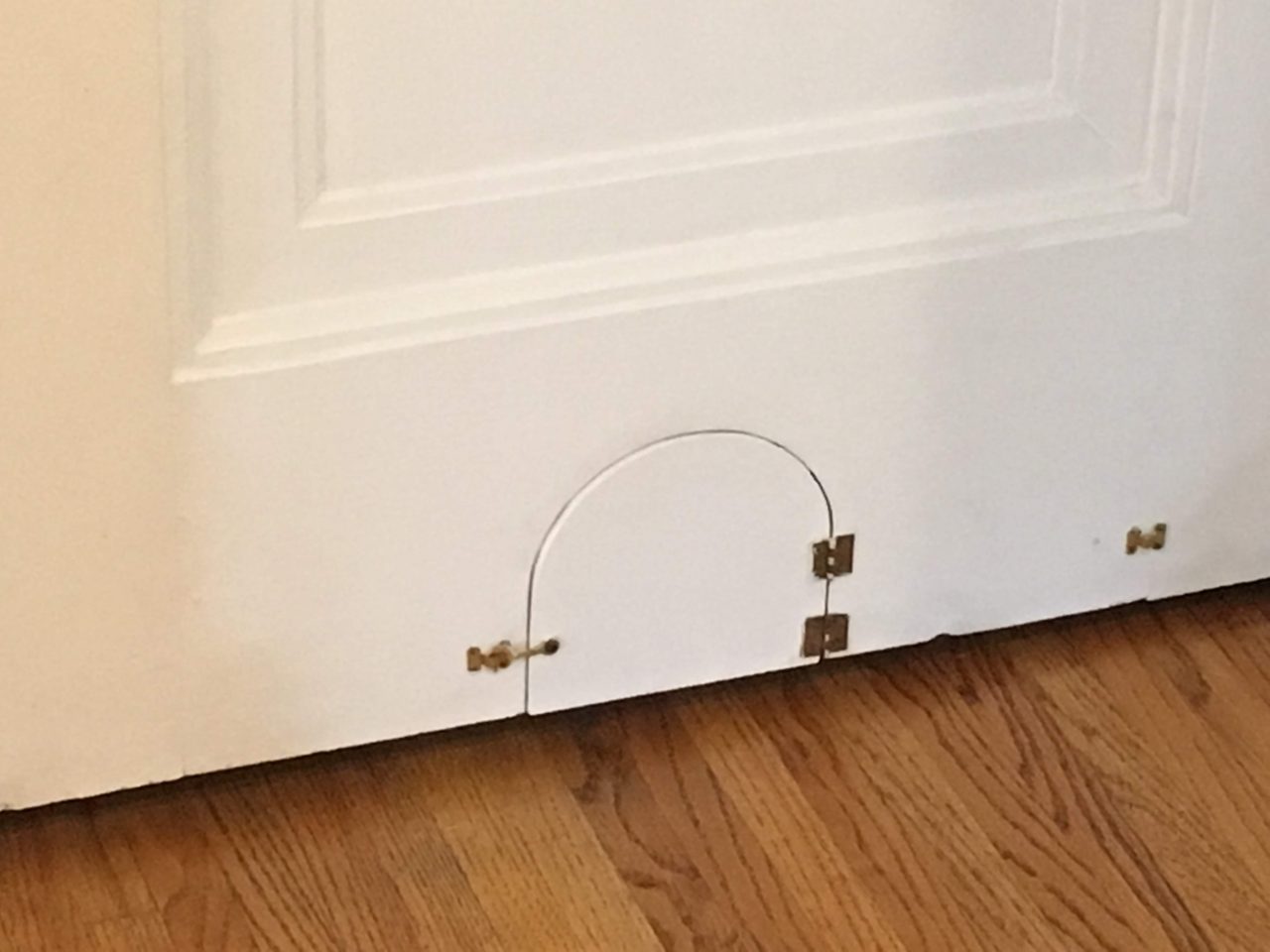 Creative Cat Door Solution for your Home Arch City Homes