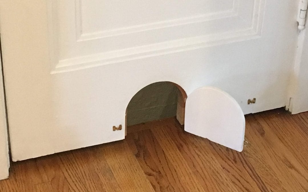 Creative Cat Door Solution for your Home